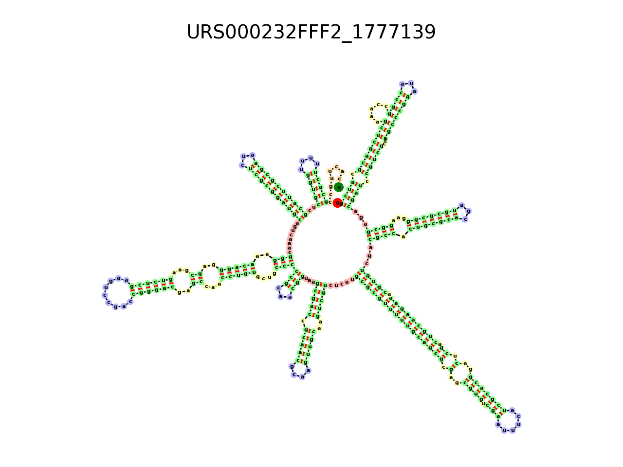 image of the secondary structure of the second Riboswitch match