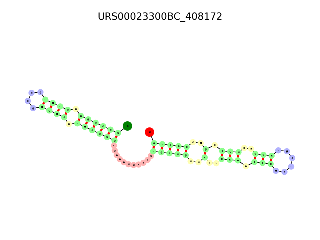 image of the secondary structure of the second Riboswitch match