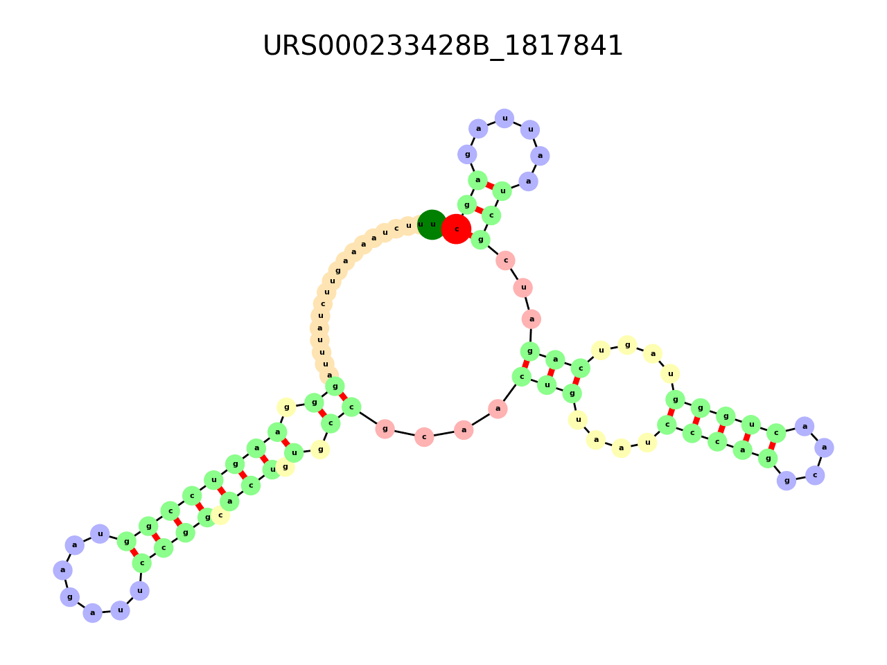 image of the secondary structure of the first Riboswitch match