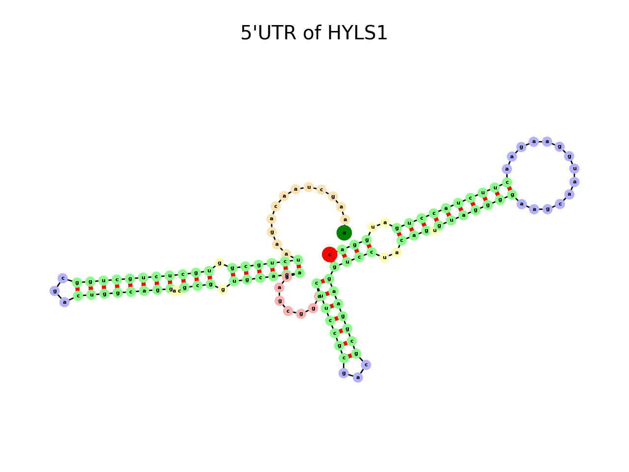 image of 5prime UTR secondary structure